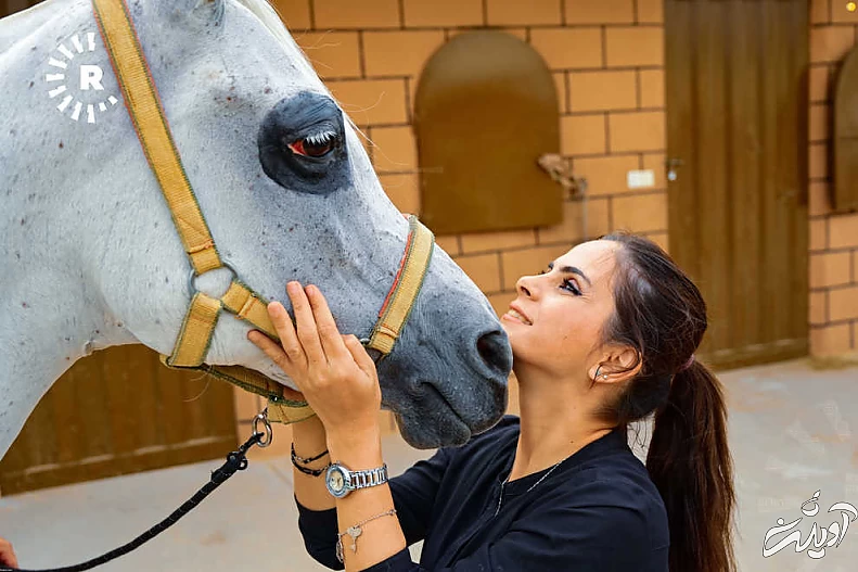 (تصاویر) نمایش اسبهای اصیل عرب در کردستان عراق